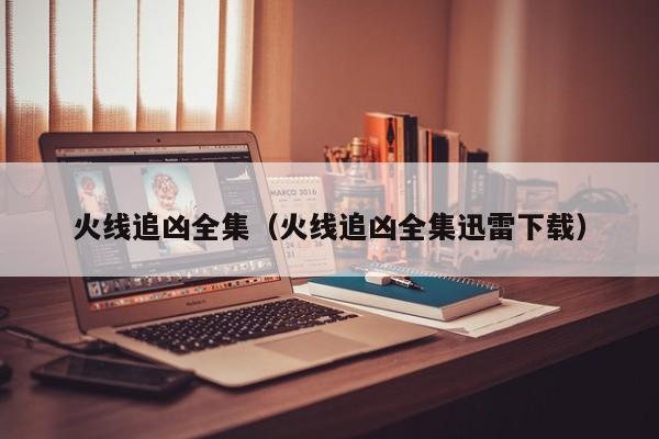 火线追凶全集（火线追凶全集迅雷下载）