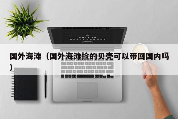 国外海滩（国外海滩捡的贝壳可以带回国内吗）